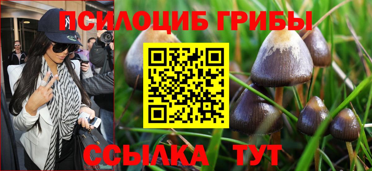 Галлюциногенные грибы ЛСД  Псилоцибиновые грибы Magic Shrooms  Хасавюрт  Вход с VPN 